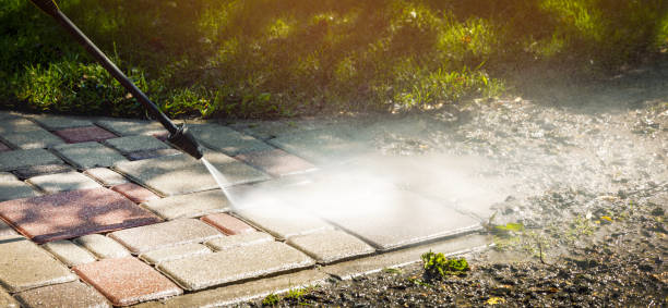 Best Animal Enclosure Cleaning  in Desert Aire, WA